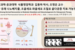 연구소식 홍삼.png